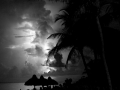 033-early-morning-in-the-tropics